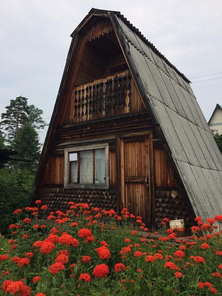 Summer cottage